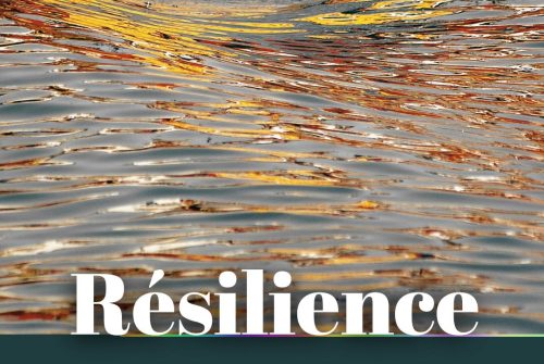 Exposition - Résilience