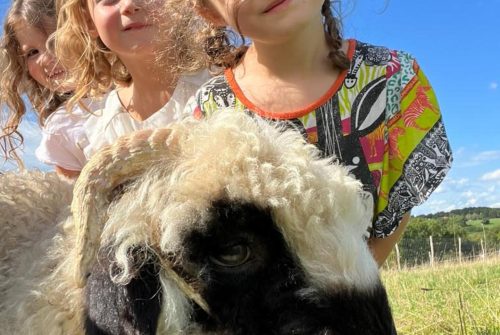 Atelier petit fermier à la ferme de la Marinette