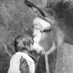 © La ferme de la Marinette - Marine Bellumori