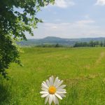 © Gîte de la Vareille Vitrac - Alice Etienne