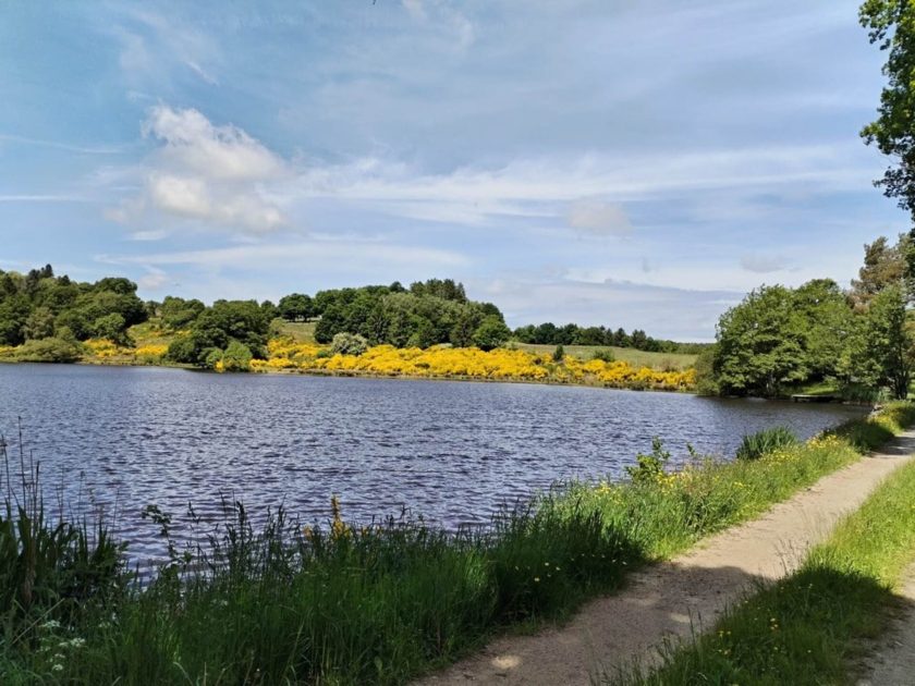 © Étang du Vernet_La Celle - Balirando