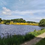 © Étang du Vernet_La Celle - Balirando