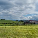 © Brasserie NK - Rbln