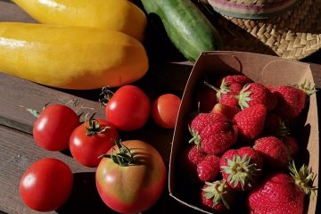 © Les Jardins de Saint Maigner - Blanchard