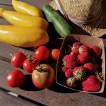 © Les Jardins de Saint Maigner - Blanchard