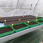 © Les Jardins de Saint Maigner - Blanchard