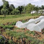 © Les Jardins de Saint Maigner - Blanchard