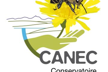 © Logo CANEC - CANEC