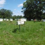 © Station de fécondation CANEC - CANEC