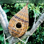 © Nichoir à Oiseaux - Atelier Dioica