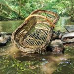 © Atelier Dioica_Saint-Myon - Panier à jour Dioica