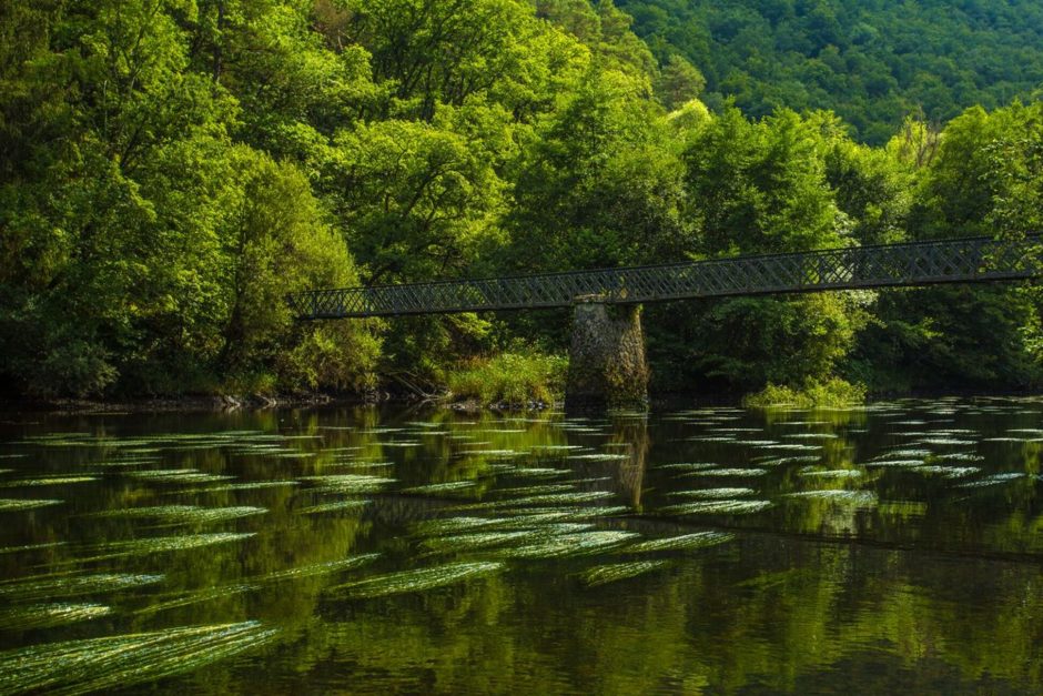 © Passerelle du Chambonnet - Elyas Saens