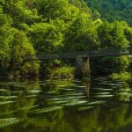 © Passerelle du Chambonnet - Elyas Saens