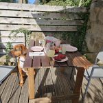 © Gite Bouron - Vacances avec vos chiens - Sabine Haas