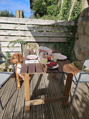 © Gite Bouron - Vacances avec vos chiens - Sabine Haas