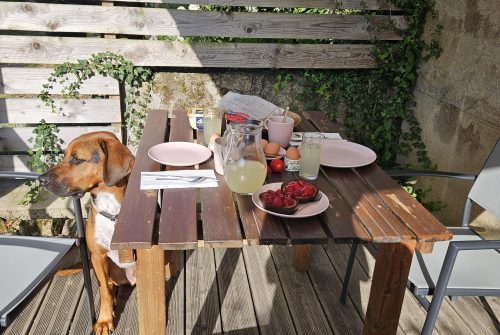 Gite Bouron - Vacances avec vos chiens