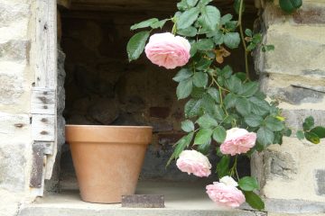 © Suites de Campagne® Les Eydieux - M.C Mercier