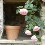 © Suites de Campagne® Les Eydieux - M.C Mercier