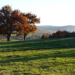 © Suites de Campagne® Les Eydieux - M.C. Mercier