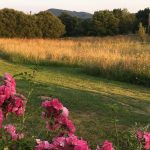 © Suites de Campagne® Les Eydieux - M.C.Mercier