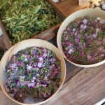 © Suites de Campagne® Les Eydieu - M.C.Mercier