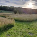 © Suites de Campagne® Les Eydieu - M.C.Mercier