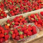 © Suites de Campagne® Les Eydieu - M.C.Mercier