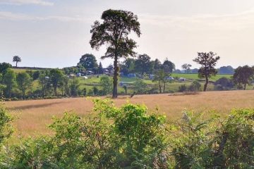 © Camping Les Cerisiers - Client de camping