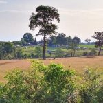 © Camping Les Cerisiers - Client de camping