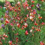 © Nature... - Jansen Rosalinda