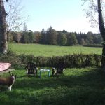 © Vue.. - Jansen Rosalinda