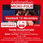 © Ballet Le Parc à la Micro-Folie_Pontgibaud - Microfolie Chavanon, Combrailles et Volcans