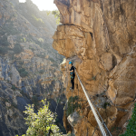 © IMG_1803.png - Edgar Fella