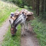 © Balades avec Coquillette bâté au circuit "Lisseuil" ou "Blot l'église" - l'Écrin de la Sioule - Laurie Dechenaux