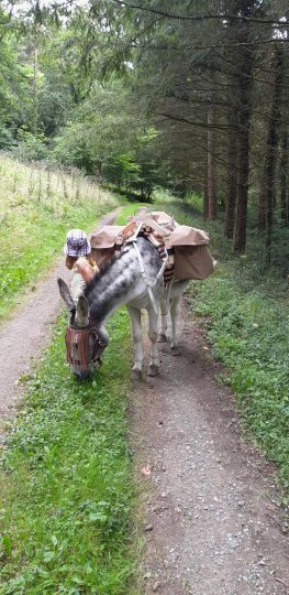 © Balades avec Coquillette bâté au circuit "Lisseuil" ou "Blot l'église" - l'Écrin de la Sioule - Laurie Dechenaux