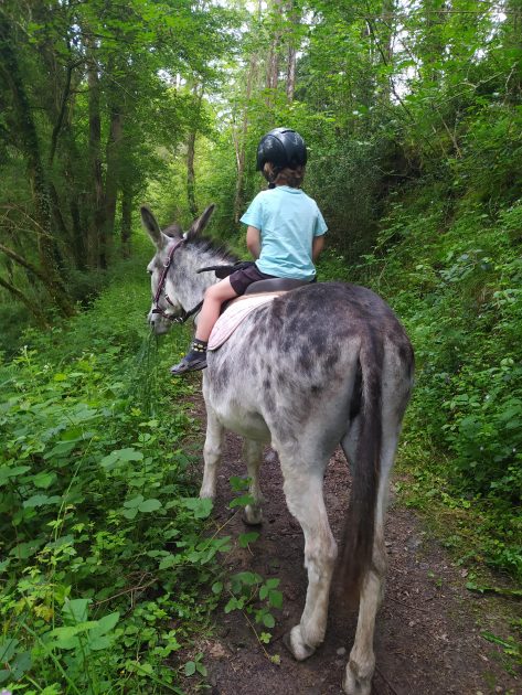 © Balade monté avec Coquillette- l'Écrin de la Sioule - Laurie Dechenaux