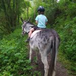 © Balade monté avec Coquillette- l'Écrin de la Sioule - Laurie Dechenaux