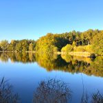 © Domaine du Balbuzard - Lac - Domaine du Balbuzard