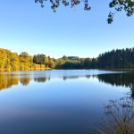 © Domaine du Balbuzard  - Lac - Domaine du Balbuzard