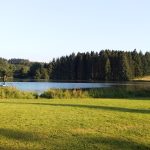 © Domaine du Balbuzard - Lac - Domaine du Balbuzard
