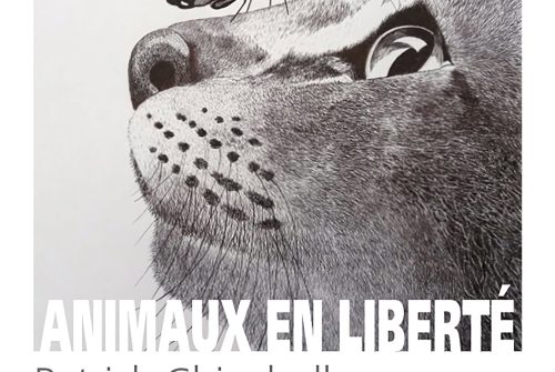 Exposition - Animaux en liberté