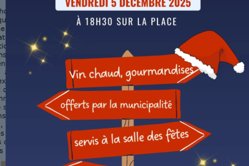 Illuminations de Noël