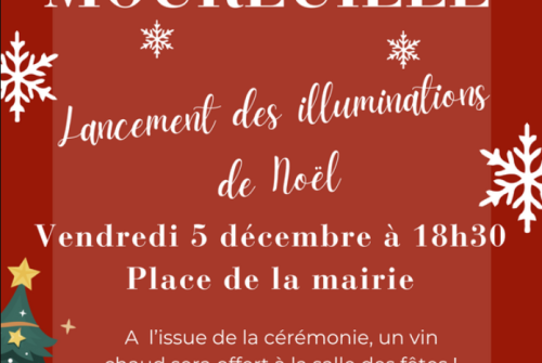 Illuminations de Noël