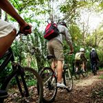 © istockphoto-929444730-1024x1024-transformed.jpeg - Istock libre de droit