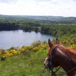 © Centre Équestre - Aya'Cheval - Brunet