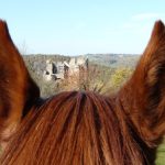 © Centre Équestre - Aya'Cheval - Brunet