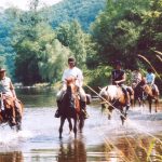 © Centre Équestre - Aya'Cheval - Brunet