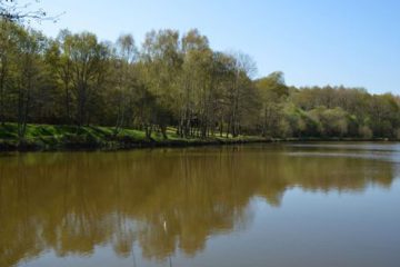 © Etang Magaud - Mairie St Angel