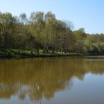 © Etang Magaud - Mairie St Angel