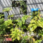 © La Serre - Vulcania